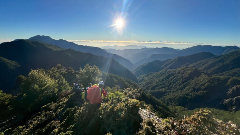 line album 20251115 19新康橫斷下瓦拉米 251225 11