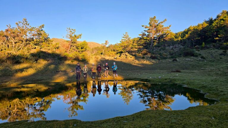 line album 20251115 19新康橫斷下瓦拉米 251225 17