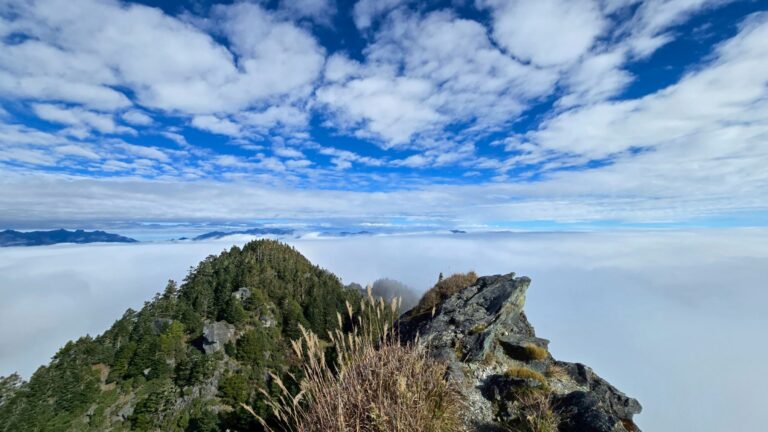 line album 20251115 19新康橫斷下瓦拉米 251225 19