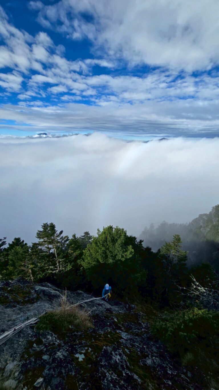 line album 20251115 19新康橫斷下瓦拉米 251225 20