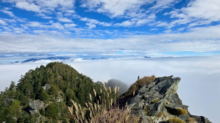 line album 20251115 19新康橫斷下瓦拉米 251225 22