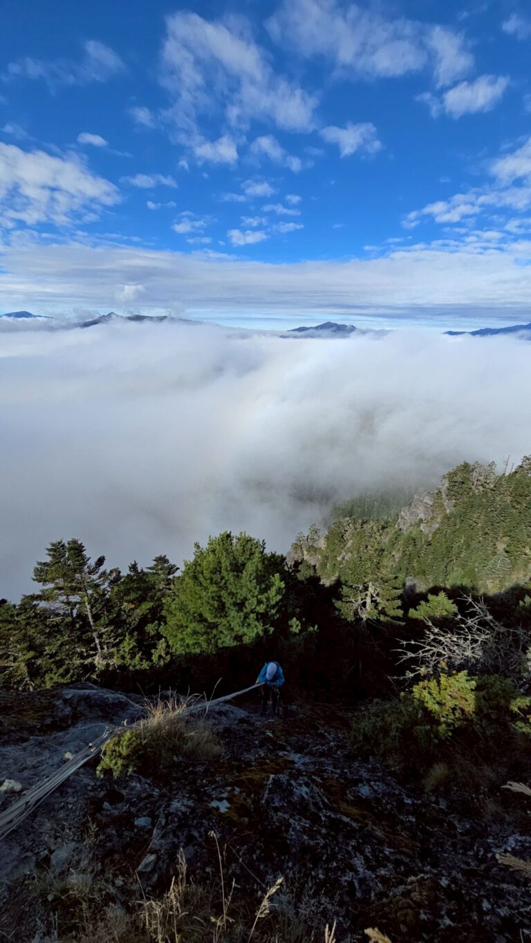 line album 20251115 19新康橫斷下瓦拉米 251225 23