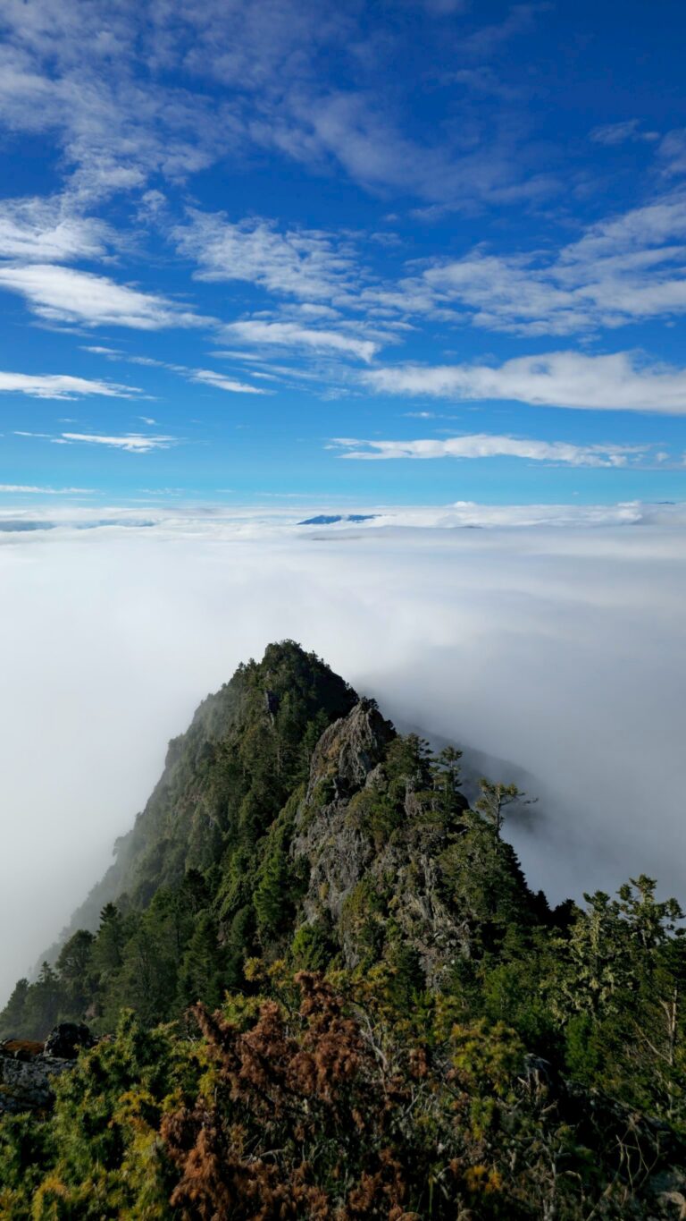 line album 20251115 19新康橫斷下瓦拉米 251225 24