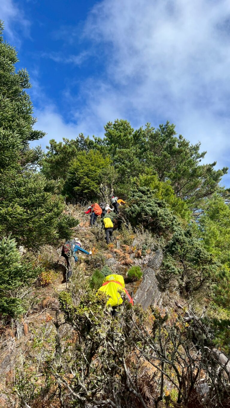 line album 20251115 19新康橫斷下瓦拉米 251225 8