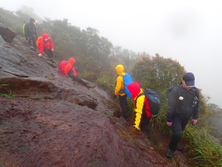 line album 0309劍龍稜 領隊林書晨 260111 3