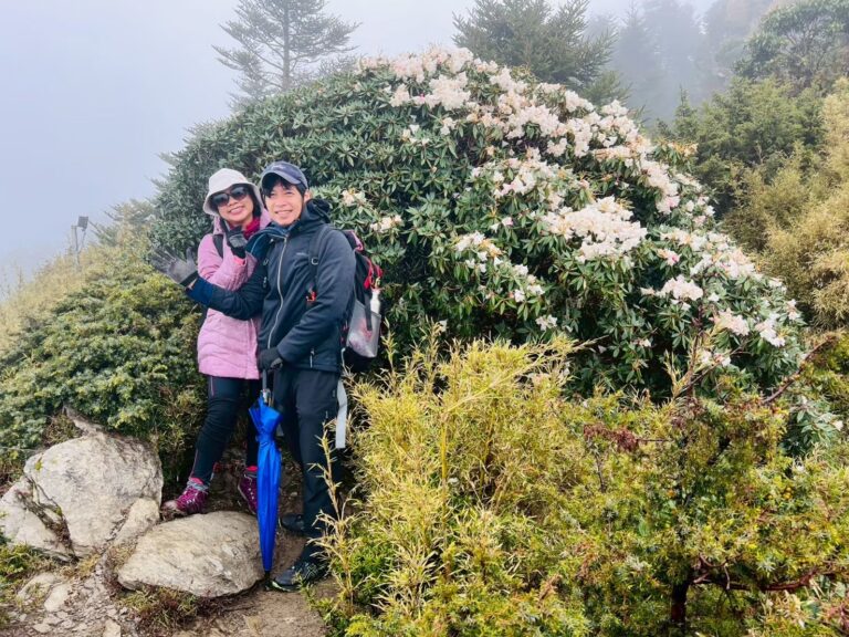 line album 0510合歡山小奇萊賞杜鵑 領隊林書晨 260111 16