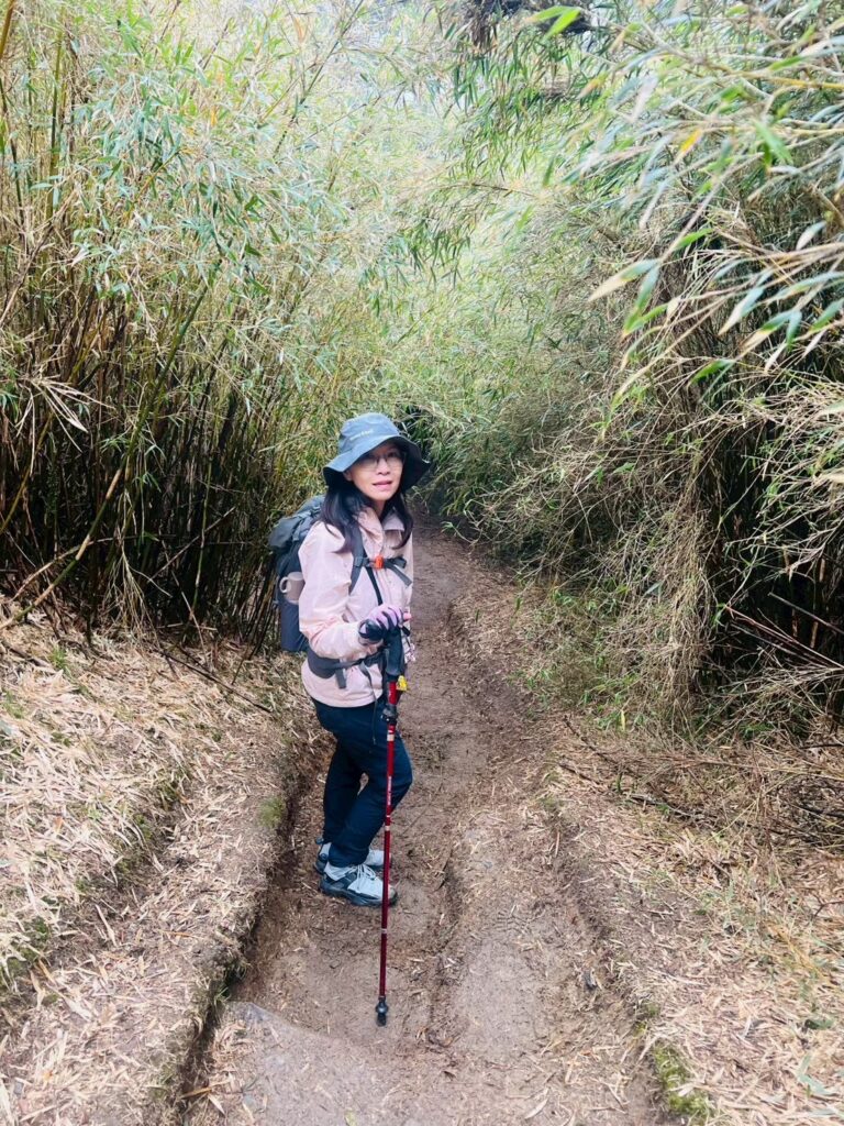 line album 0510合歡山小奇萊賞杜鵑 領隊林書晨 260111 4