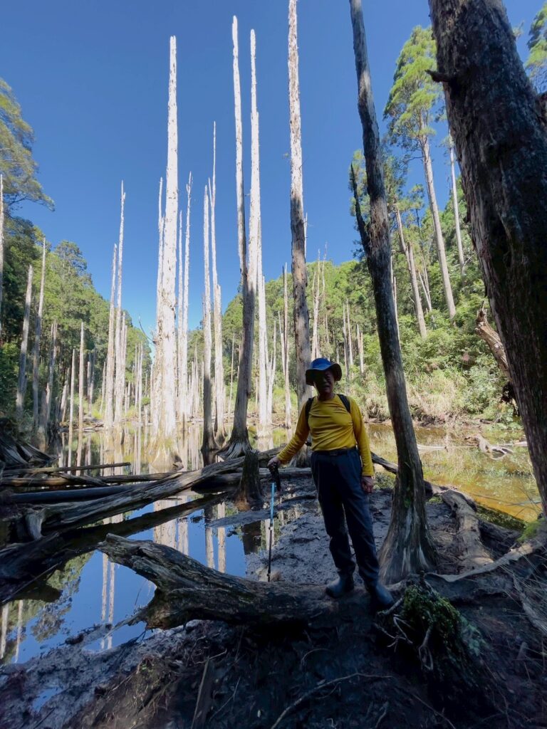 line album 1018登山大會師忘憂森林線領隊梁秋棋 260111 13
