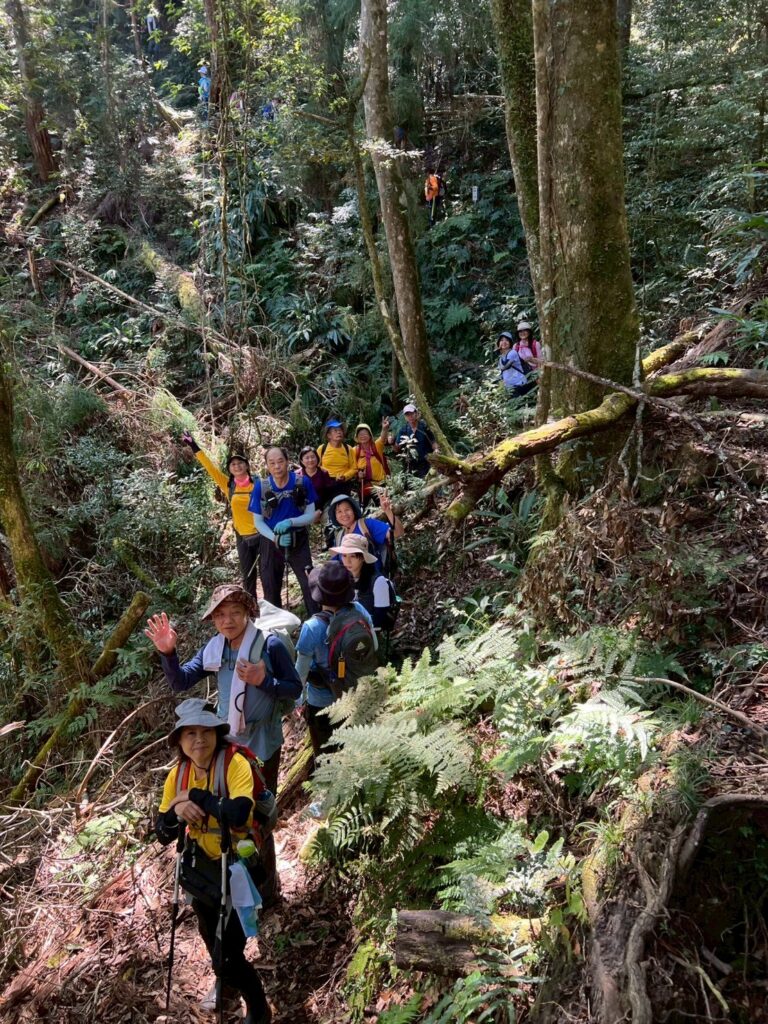 line album 1018登山大會師忘憂森林線領隊梁秋棋 260111 7