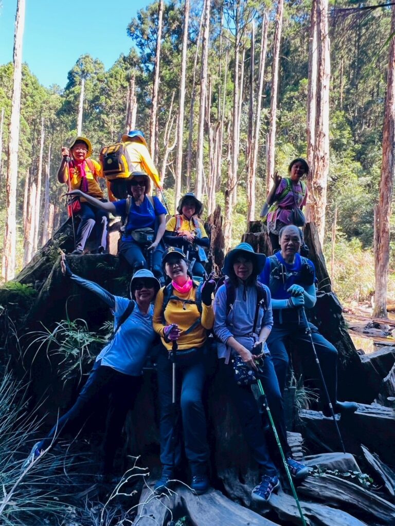 line album 1018登山大會師忘憂森林線領隊梁秋棋 260111 8