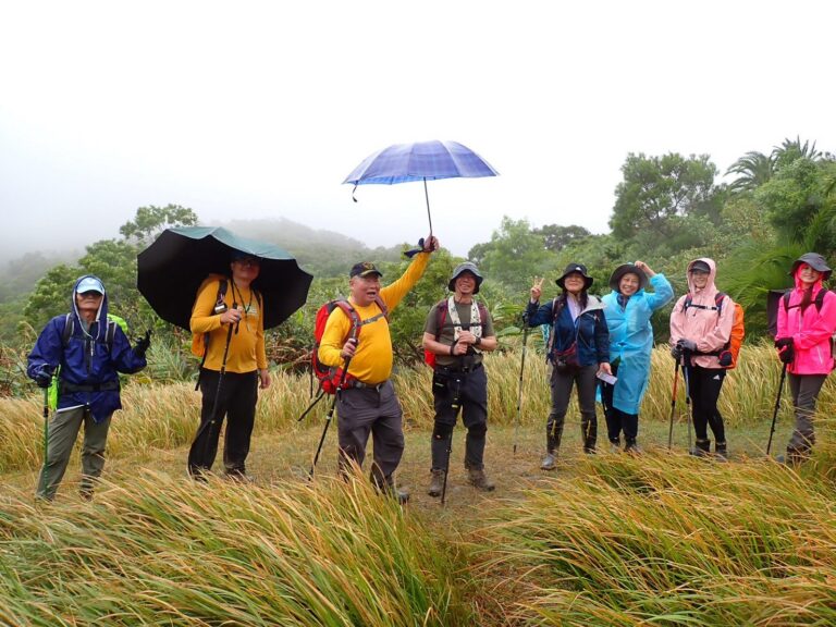 line album 1221 12 22大山母山 里龍山 行程 山海情 思想曲領隊林書晨 260111 12