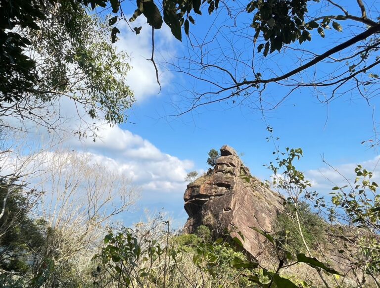 line album 20250112 每個人都是網美 250114 16