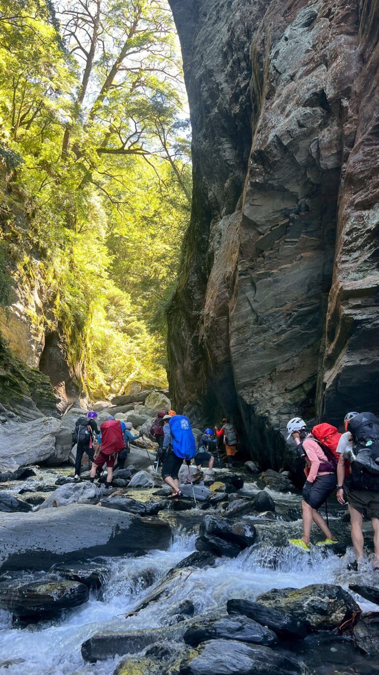 line album 2025109 12寶島第一尖 中央尖山 260111 25