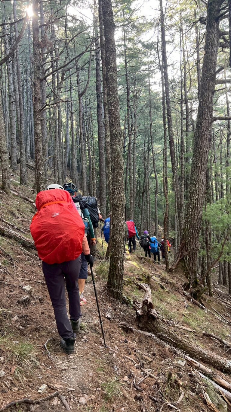 line album 2025109 12寶島第一尖 中央尖山 260111 31