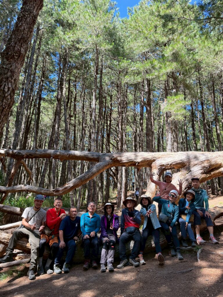 line album 2025109 12寶島第一尖 中央尖山 260111 33