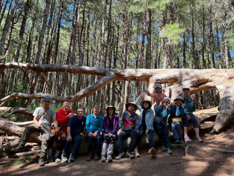 line album 2025109 12寶島第一尖 中央尖山 260111 34