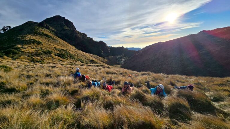 line album 2025125 9 南一段 領隊黃文信嚮導 陳敏寧 260111 1