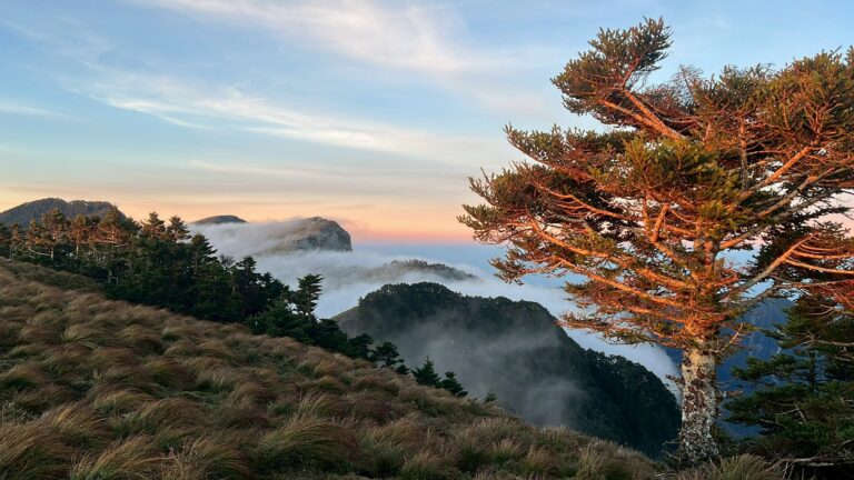 line album 2025125 9 南一段 領隊黃文信嚮導 陳敏寧 260111 10