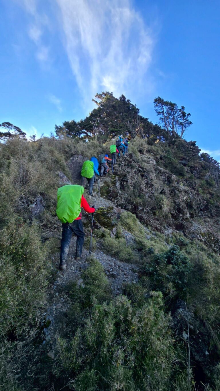 line album 2025125 9 南一段 領隊黃文信嚮導 陳敏寧 260111 22