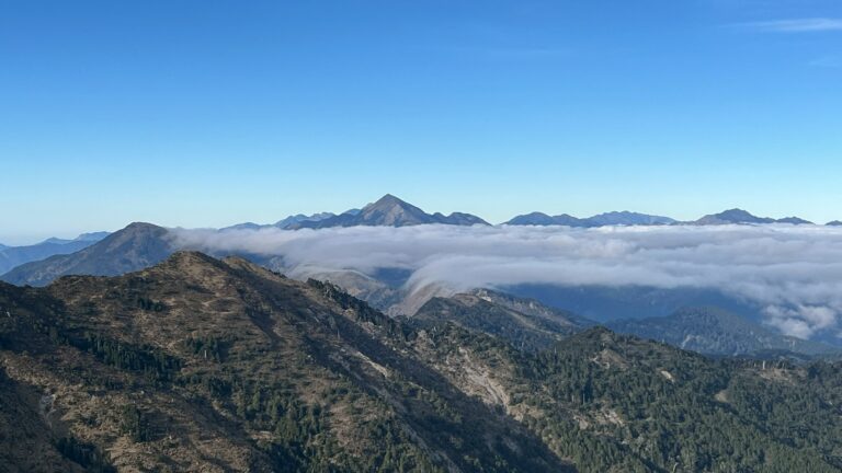 line album 2025125 9 南一段 領隊黃文信嚮導 陳敏寧 260111 5