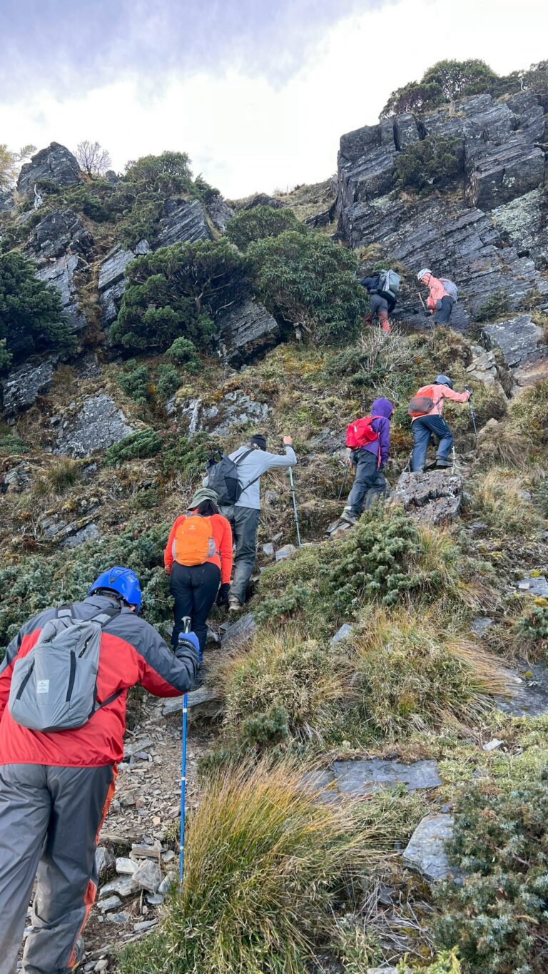 line album 2025125 9 南一段 領隊黃文信嚮導 陳敏寧 260111 7