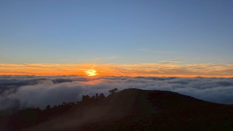 line album 2025125 9 南一段 領隊黃文信嚮導 陳敏寧 260111 9