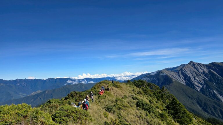 line album 202596 8無明甘薯 領隊陳敏寧嚮導黃文信 260111 13