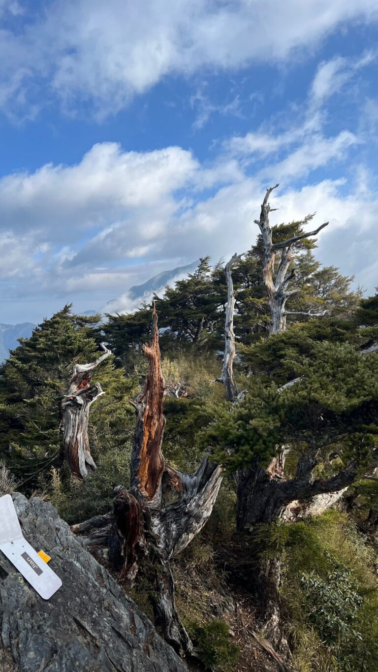 line album 221 23 大小劍 260117 10