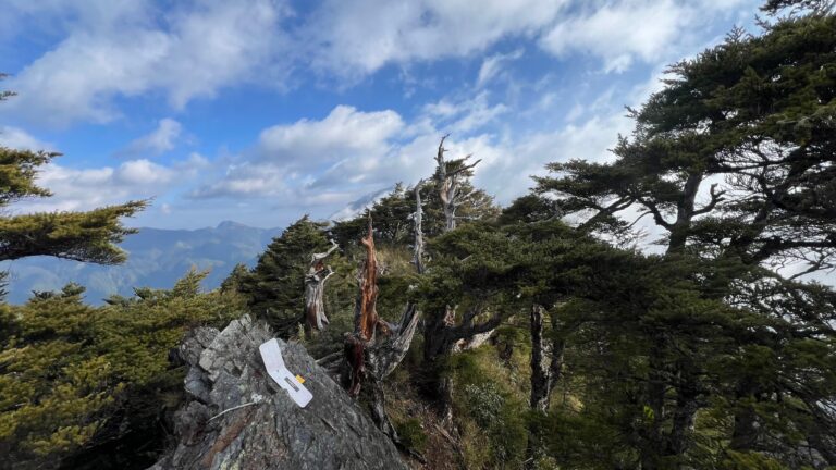 line album 221 23 大小劍 260117 11