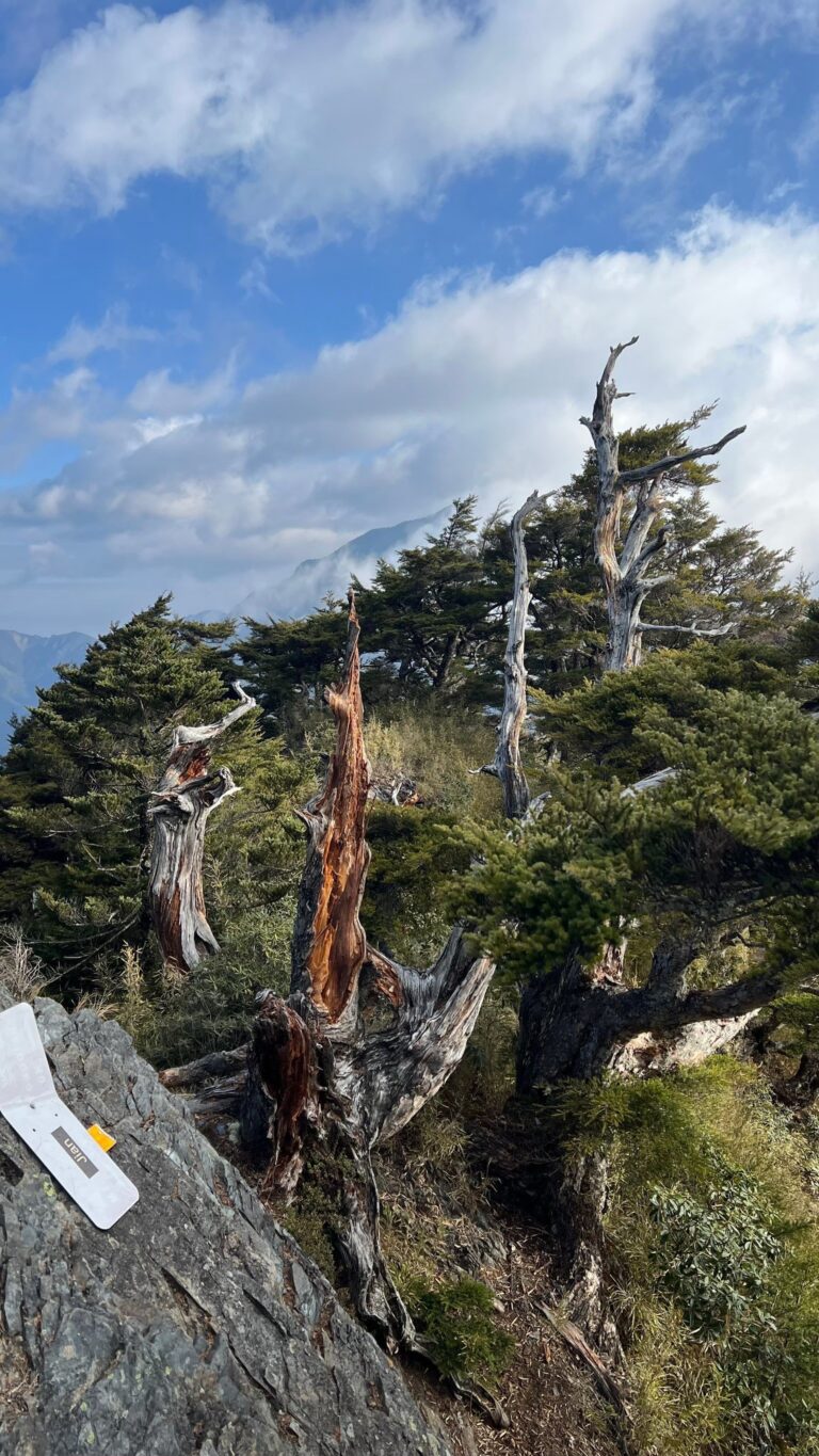 line album 221 23 大小劍 260117 12