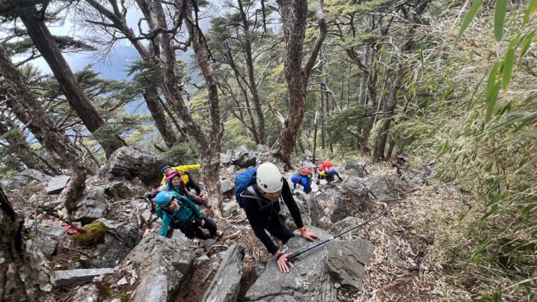 line album 221 23 大小劍 260117 19