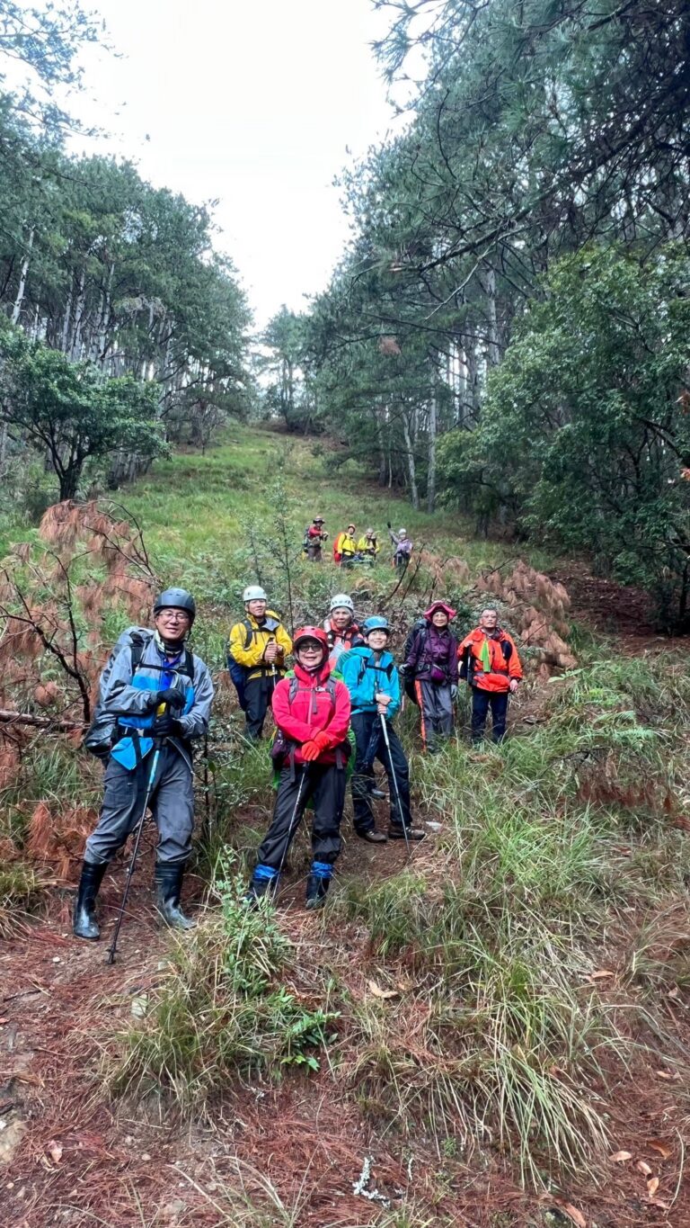 line album 221 23 大小劍 260117 25