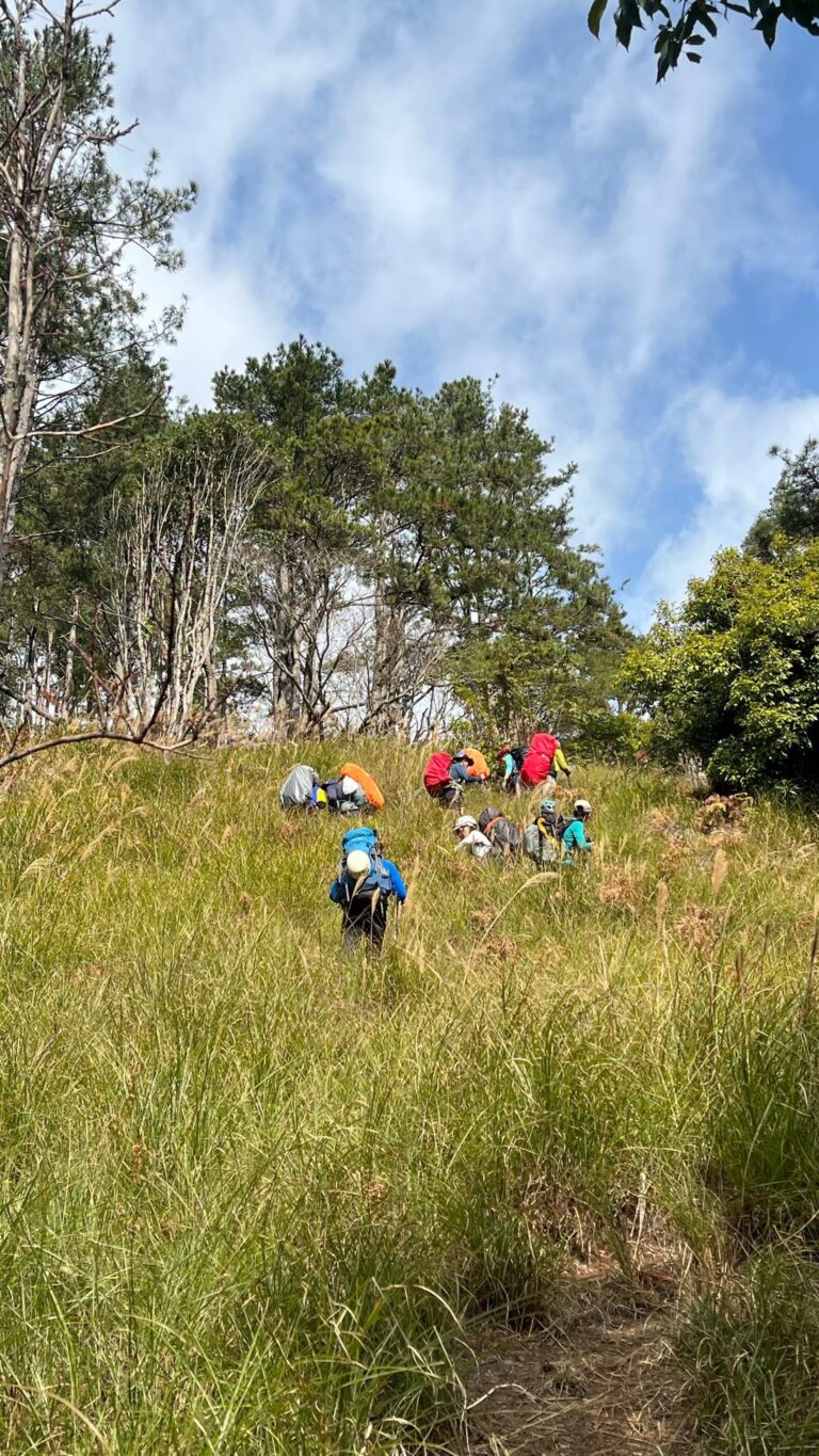 line album 221 23 大小劍 260117 7