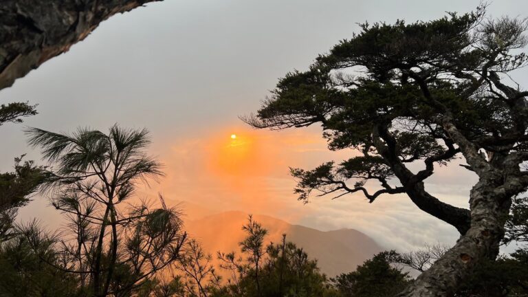 line album 221 23 大小劍 260117 8