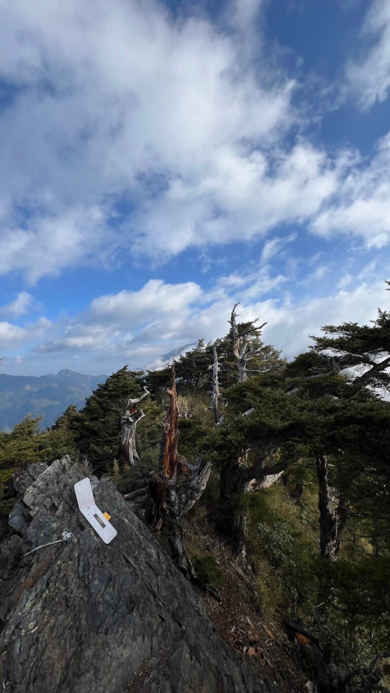 line album 221 23 大小劍 260117 9