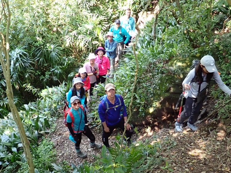 line album 323八里觀音山活動 領隊林書晨 260111 2