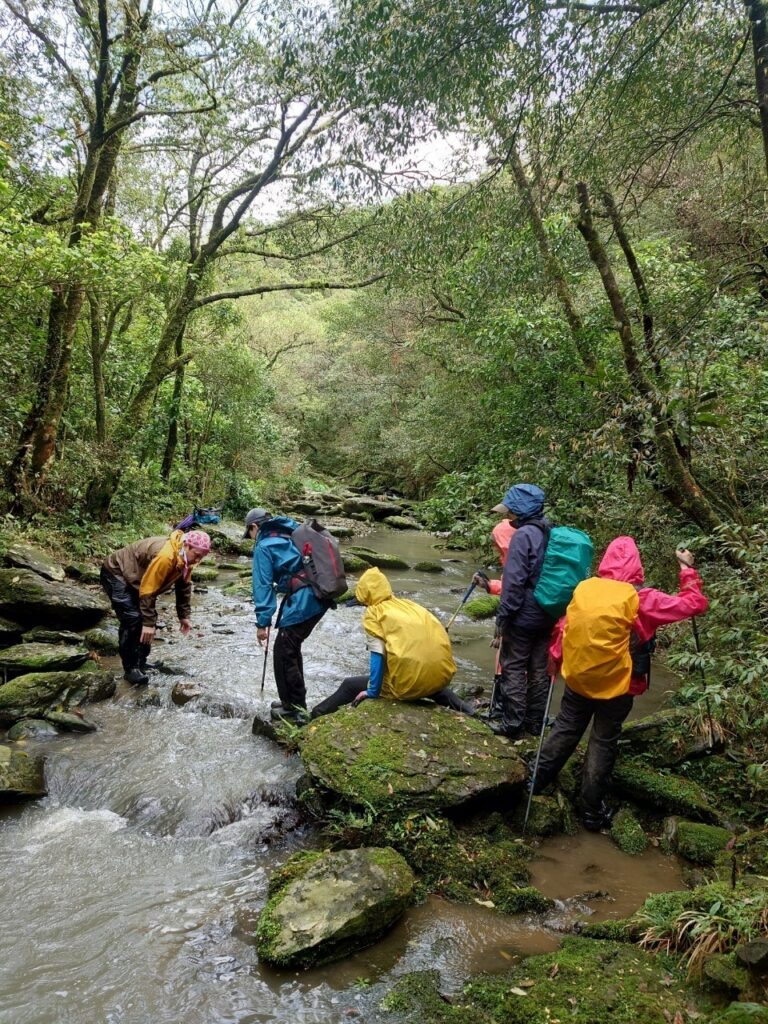 line album 3月15 16日 烘爐地桶后縱走 領隊 王文傑 嚮導 柯素惠 260117 2