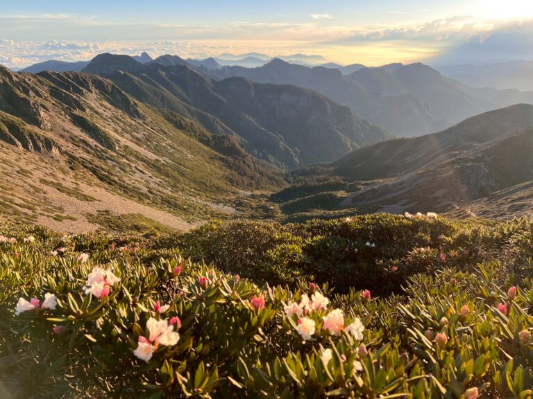 line album 5月15 18日雪主東翠池下志佳陽 領隊 王文傑 嚮導 柯素惠 260117 2