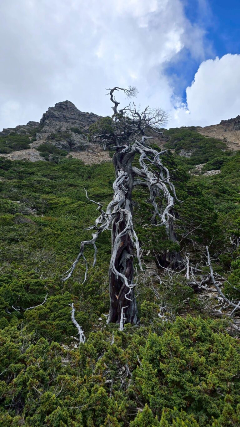 line album 824 26 玉山後四峰 領隊 黃文信 260117 10