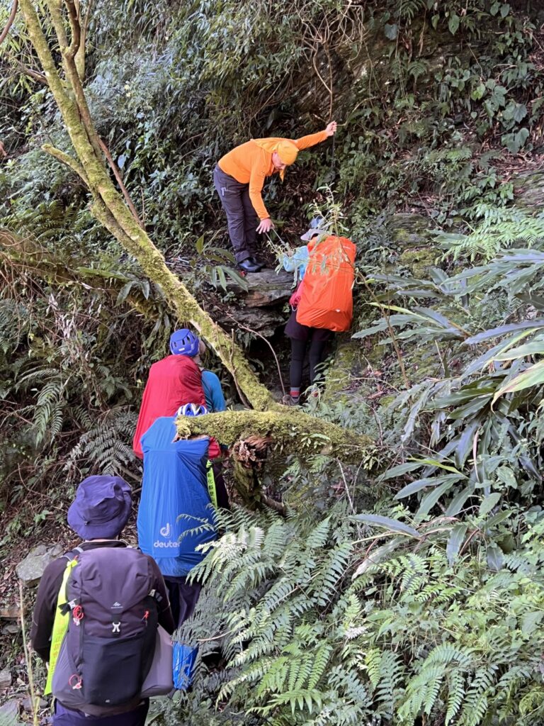 line album 9月25 29日 干卓萬縱走 領隊 王文傑 嚮導 柯素惠 260117 16